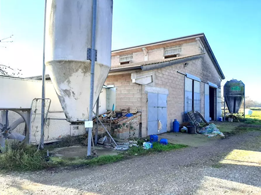 Immagine 16 di Villa in vendita  a Valeggio Sul Mincio