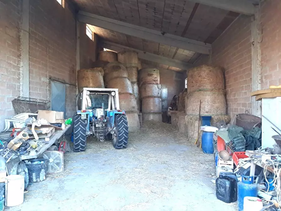 Immagine 17 di Villa in vendita  a Valeggio Sul Mincio