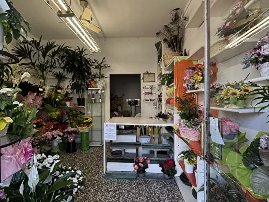 Immagine 6 di Negozio in vendita  in Via Nazionale, 19 a Sissa Trecasali