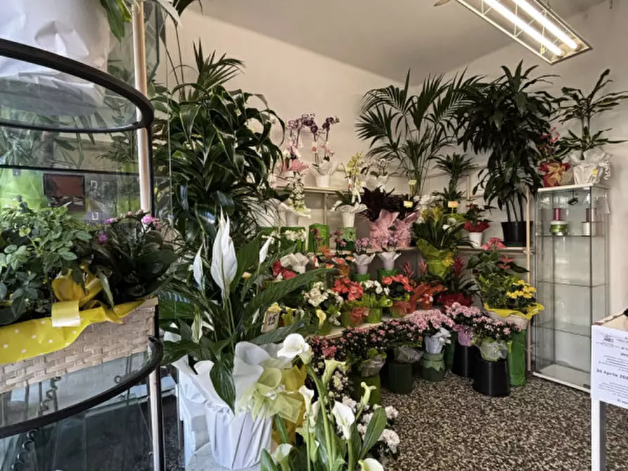 Immagine 10 di Negozio in vendita  in Via Nazionale, 19 a Sissa Trecasali