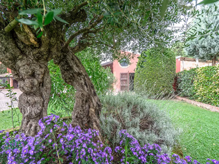 Immagine 43 di Villa in vendita  in via Stradelli Guelfi a Castel San Pietro Terme