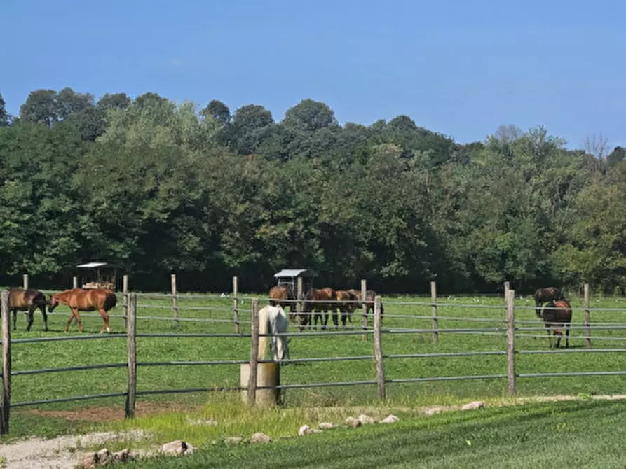 Immagine 3 di Villa in vendita  in Località Sgarbella a Bussolengo
