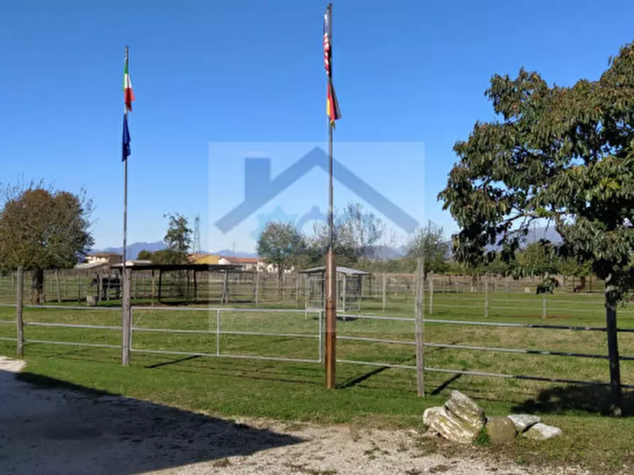 Immagine 16 di Villa in vendita  in Località Sgarbella a Bussolengo