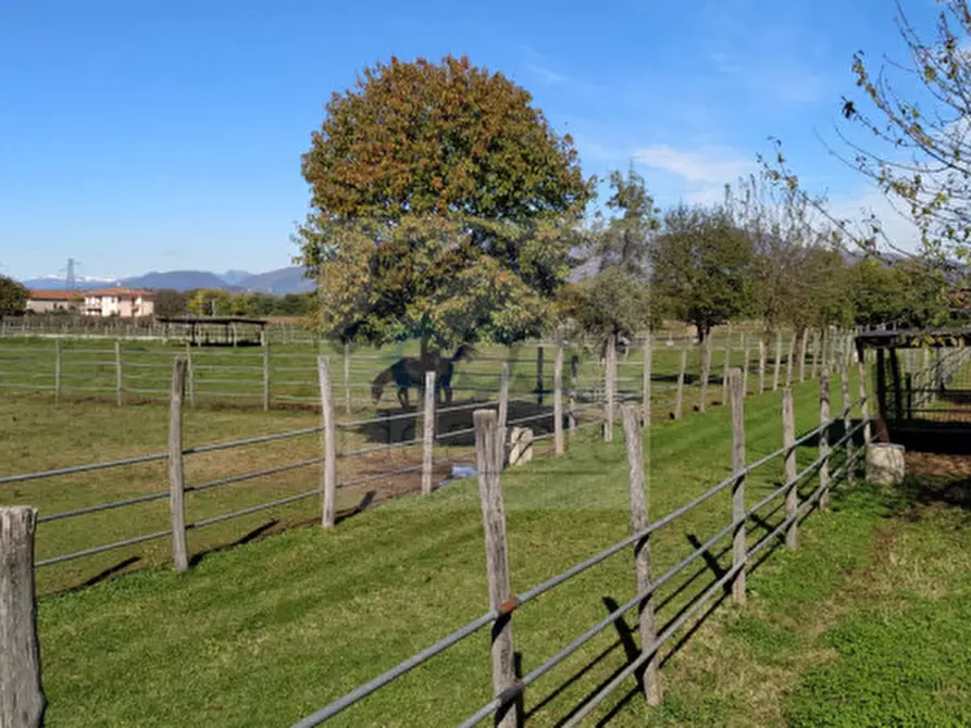 Immagine 19 di Villa in vendita  in Località Sgarbella a Bussolengo