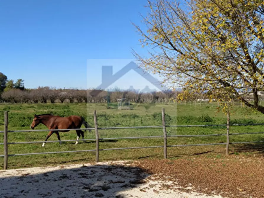 Immagine 19 di Villa in vendita  in Località Sgarbella a Bussolengo