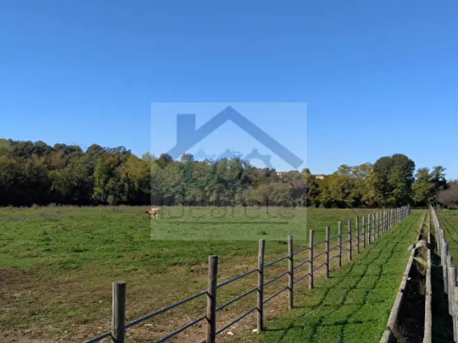 Immagine 22 di Villa in vendita  in Località Sgarbella a Bussolengo