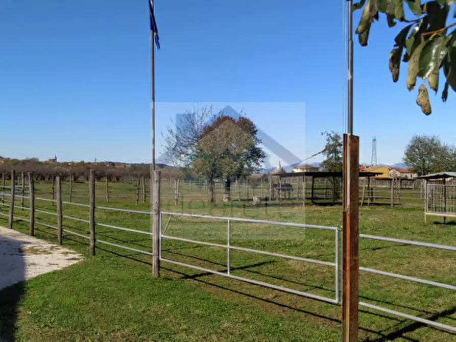 Immagine 23 di Villa in vendita  in Località Sgarbella a Bussolengo