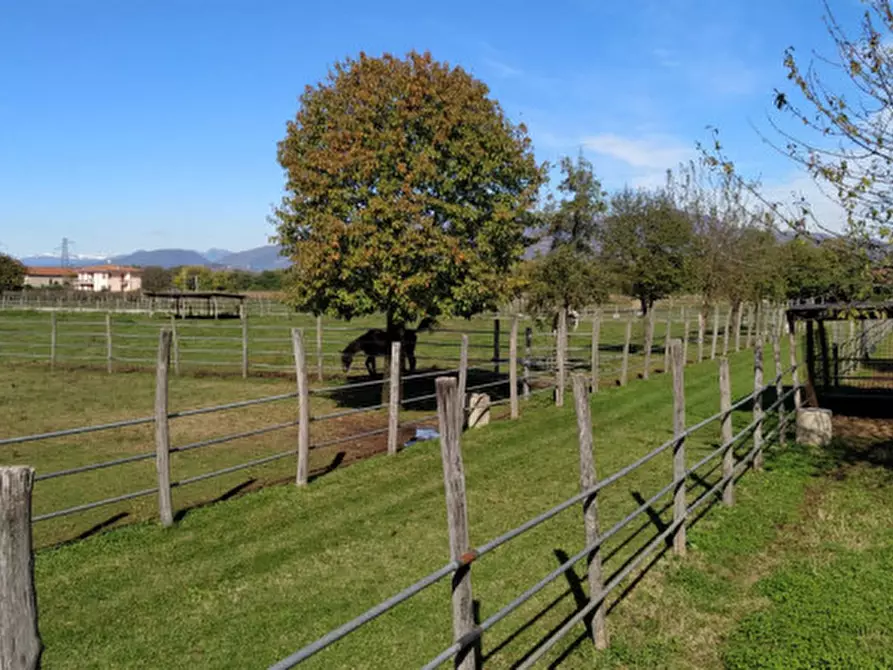 Immagine 26 di Villa in vendita  in Località Sgarbella a Bussolengo