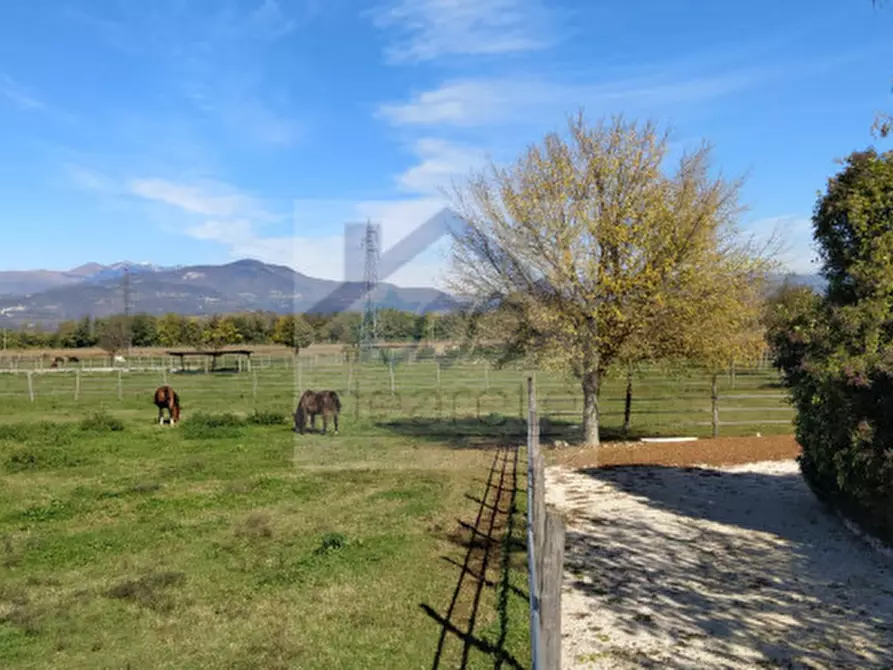 Immagine 40 di Villa in vendita  in Località Sgarbella a Bussolengo