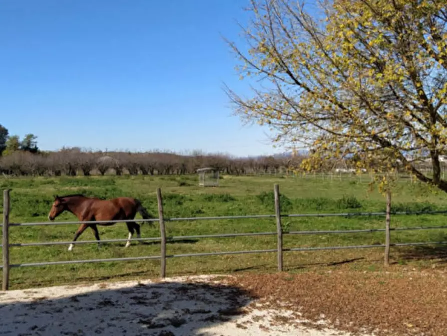 Immagine 47 di Villa in vendita  in Località Sgarbella a Bussolengo