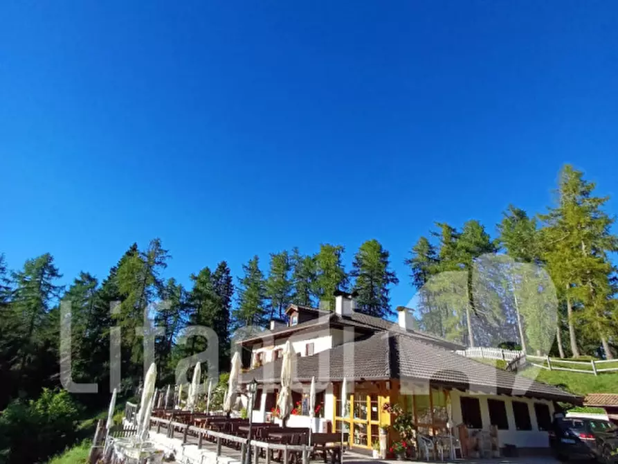 Immagine 2 di Casa indipendente in vendita  in Località Mezzavia a Cavareno