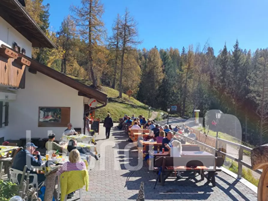 Immagine 3 di Casa indipendente in vendita  in Località Mezzavia a Cavareno