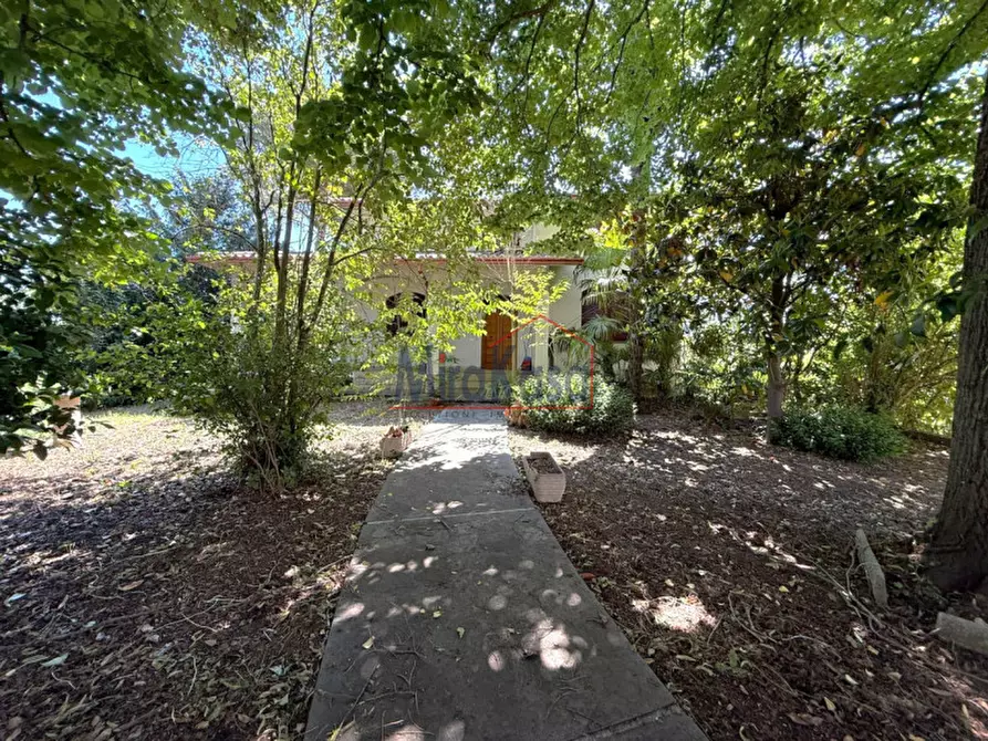 Immagine 73 di Casa indipendente in vendita  a Cervia