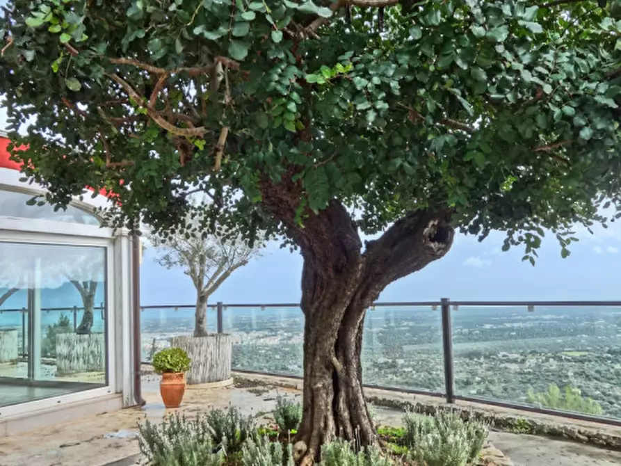 Immagine 24 di Villa in vendita  in YRA a Fasano