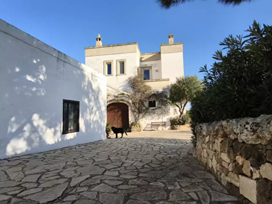 Immagine 2 di Rustico / casale in vendita  in MAGA a Fasano