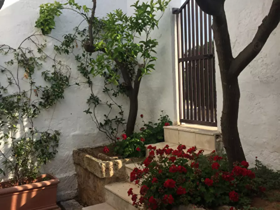 Immagine 76 di Rustico / casale in vendita  in MAGA a Fasano