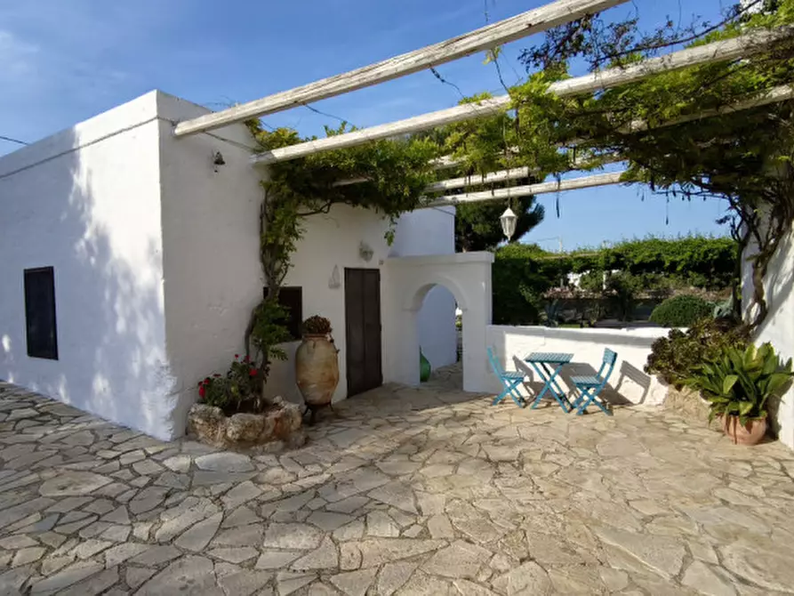 Immagine 79 di Rustico / casale in vendita  in MAGA a Fasano