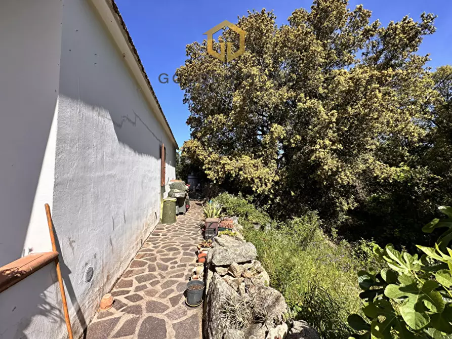 Immagine 5 di Villetta a schiera in vendita  in Agliuledda Ovilò a Loiri Porto San Paolo