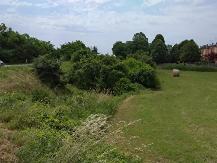 Immagine 2 di Terreno in vendita  a Stanghella