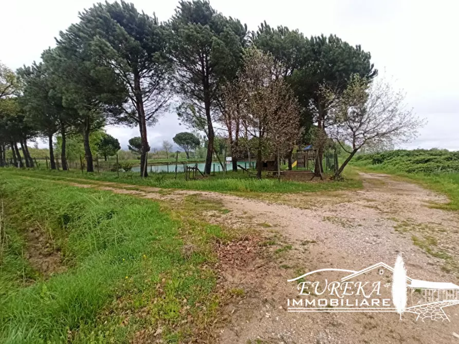 Immagine 17 di Terreno in vendita  a Castiglione Del Lago