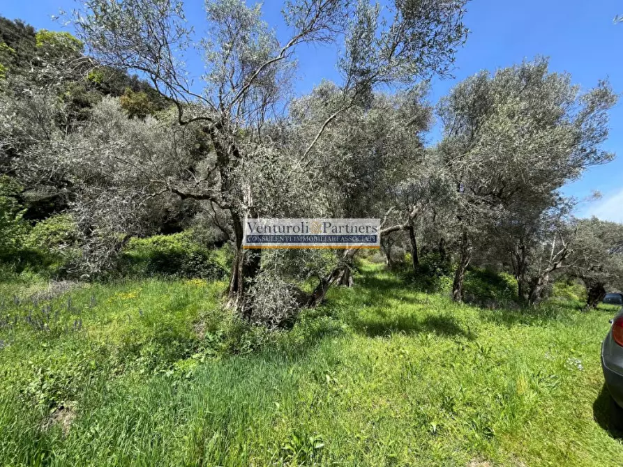 Immagine 9 di Terreno in vendita  in Via Valle delle Cartiere a Toscolano-Maderno