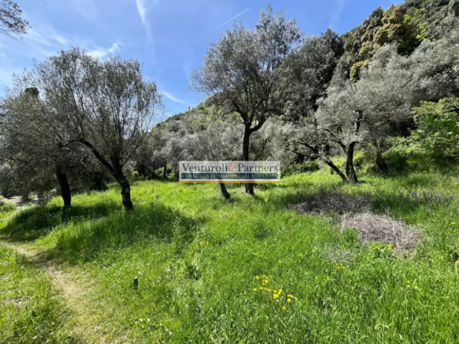 Immagine 10 di Terreno in vendita  in Via Valle delle Cartiere a Toscolano-Maderno