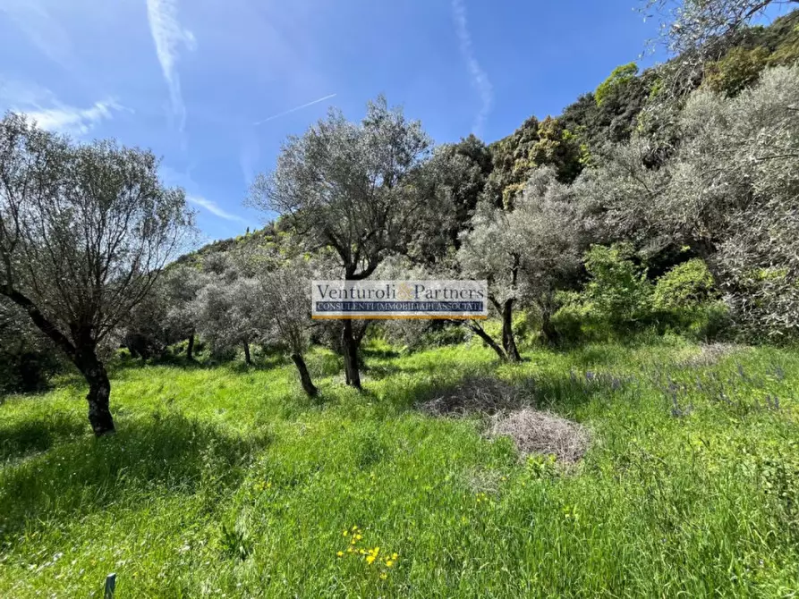 Immagine 12 di Terreno in vendita  in Via Valle delle Cartiere a Toscolano-Maderno
