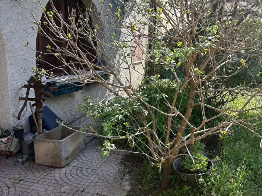 Immagine 2 di Rustico / casale in vendita  in Via Pelosa a Borgoricco