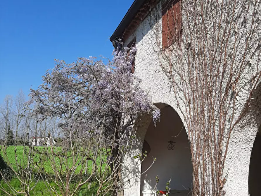 Immagine 3 di Rustico / casale in vendita  in Via Pelosa a Borgoricco