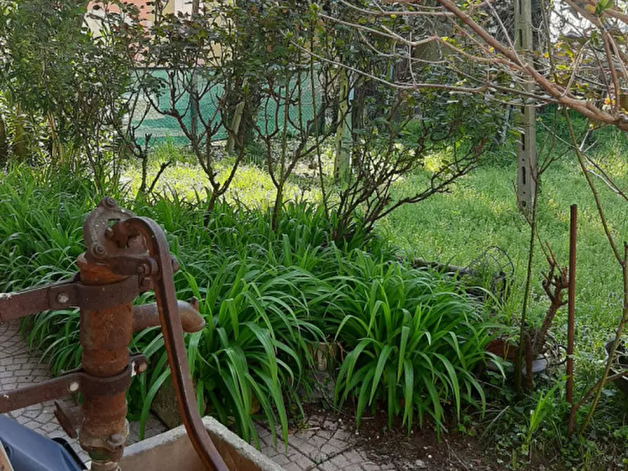 Immagine 4 di Rustico / casale in vendita  in Via Pelosa a Borgoricco