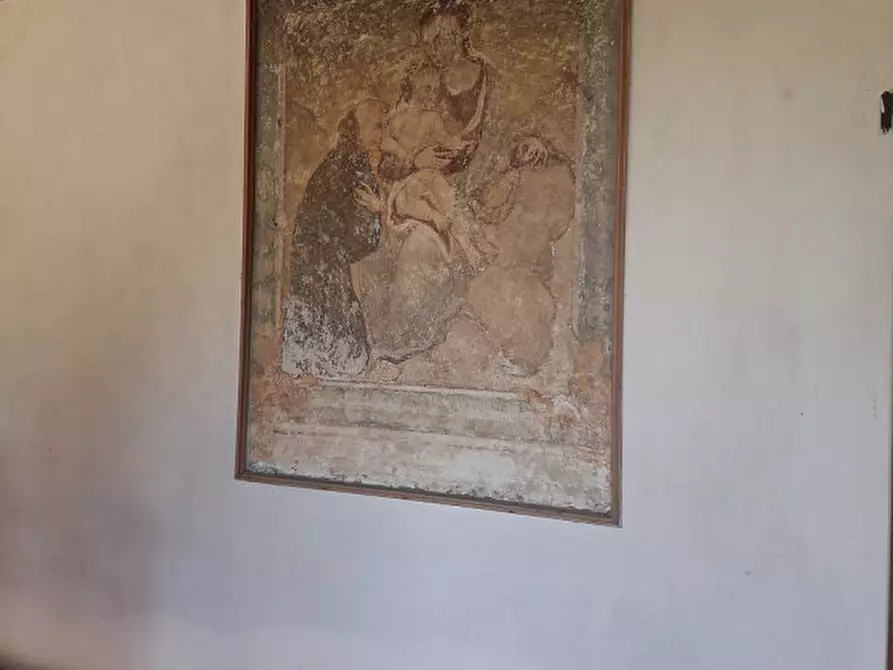 Immagine 6 di Rustico / casale in vendita  in Via Pelosa a Borgoricco