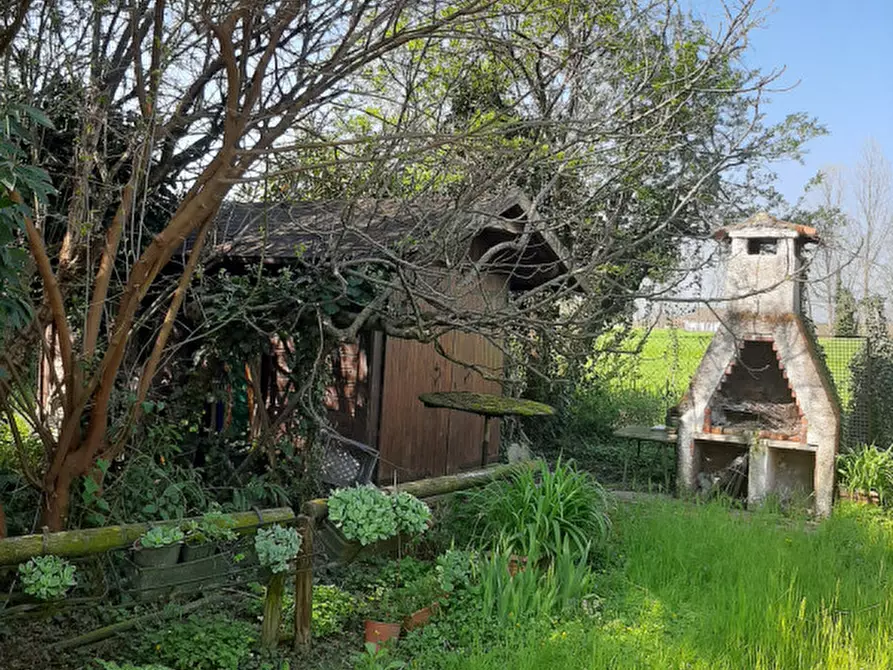 Immagine 7 di Rustico / casale in vendita  in Via Pelosa a Borgoricco