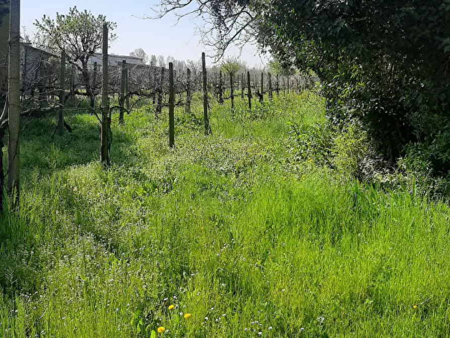 Immagine 9 di Rustico / casale in vendita  in Via Pelosa a Borgoricco