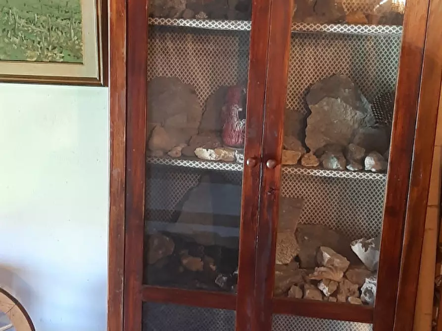 Immagine 19 di Rustico / casale in vendita  in Via Pelosa a Borgoricco