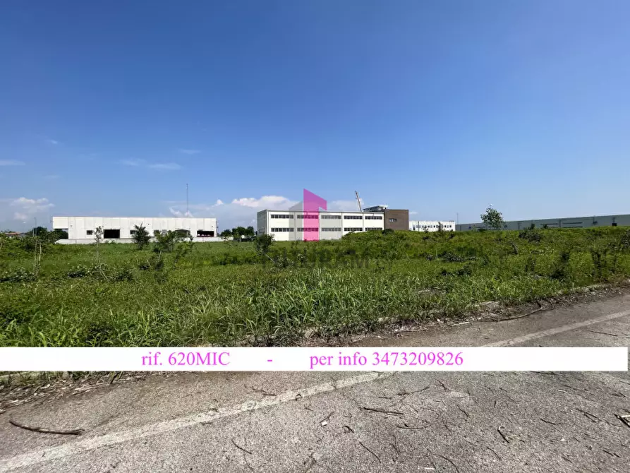 Immagine 2 di Terreno in vendita  a Vigonovo