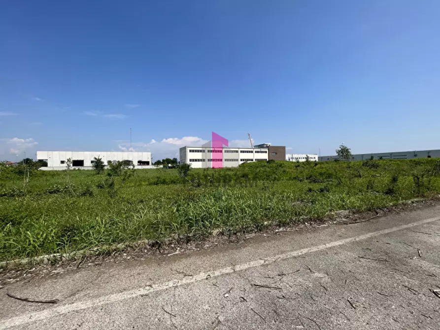Immagine 12 di Terreno in vendita  a Vigonovo