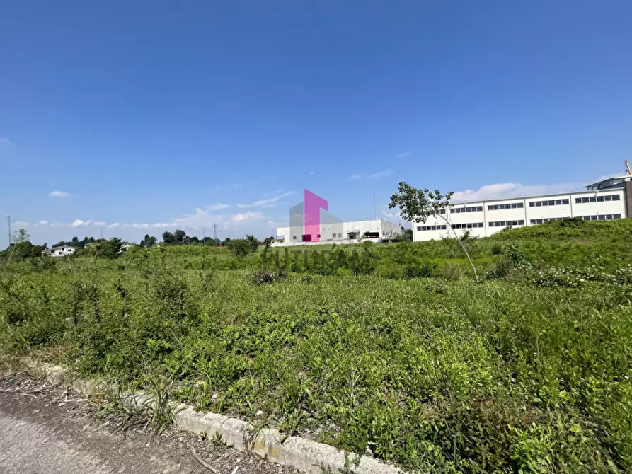 Immagine 21 di Terreno in vendita  a Vigonovo
