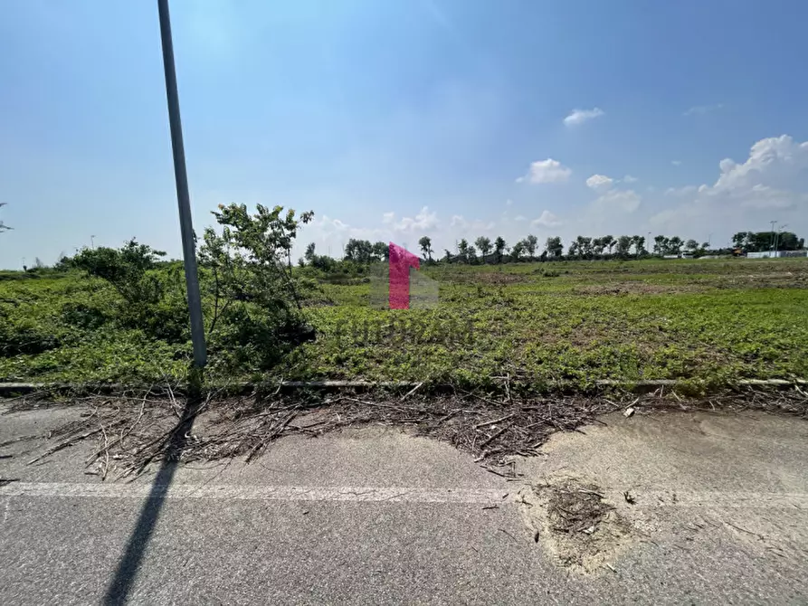 Immagine 25 di Terreno in vendita  a Vigonovo