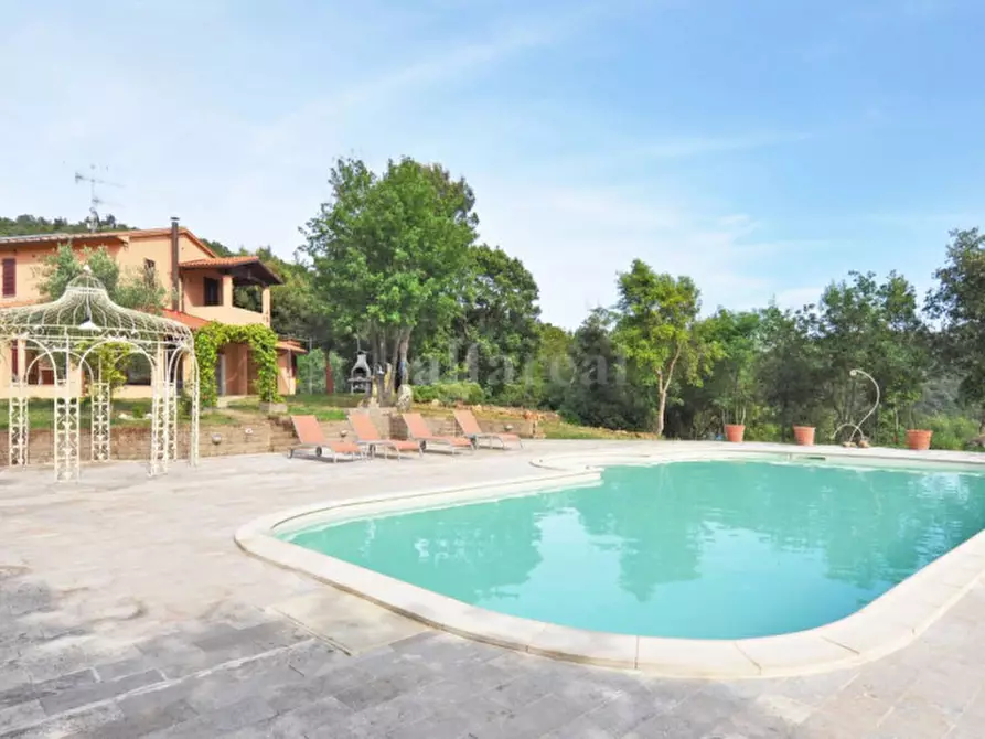 Immagine 2 di Villa in vendita  a Castiglione Della Pescaia