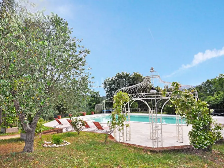 Immagine 3 di Villa in vendita  a Castiglione Della Pescaia