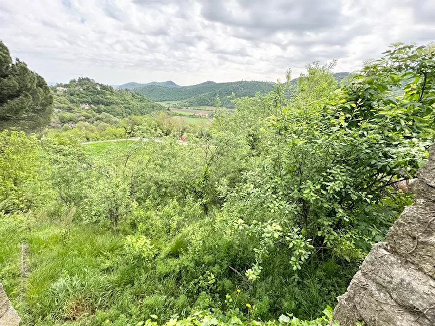 Immagine 4 di Rustico / casale in vendita  a Teolo