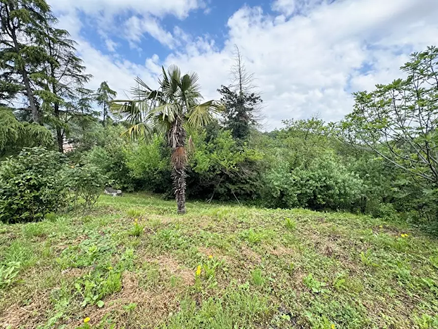 Immagine 5 di Rustico / casale in vendita  a Teolo