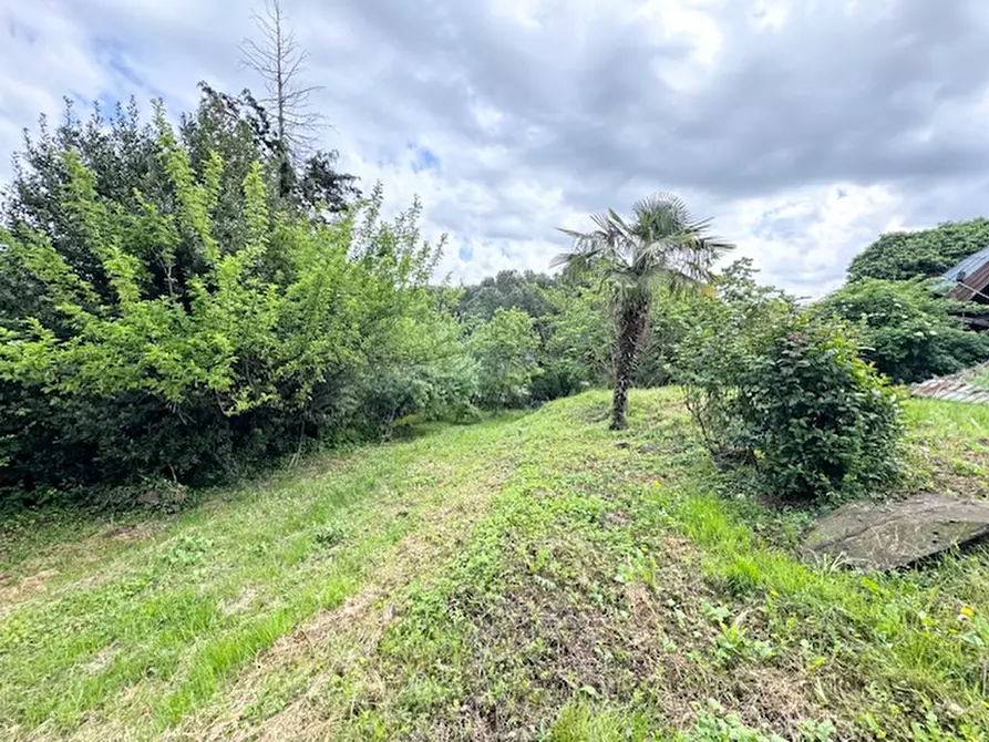 Immagine 6 di Rustico / casale in vendita  a Teolo