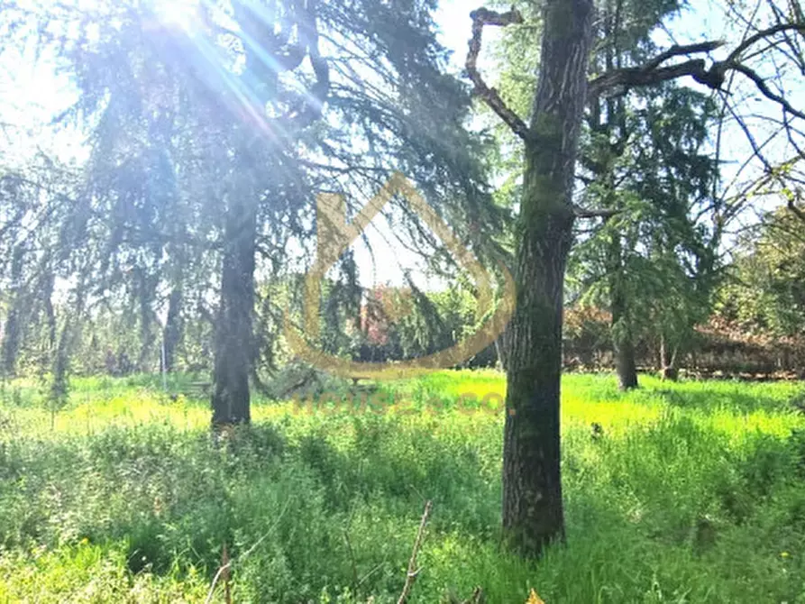 Immagine 1 di Terreno in vendita  in Corso Pavia a Vigevano