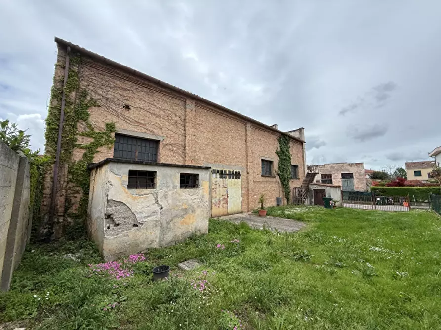 Immagine 4 di Terreno in vendita  in Via del Pavone 2 a Mira