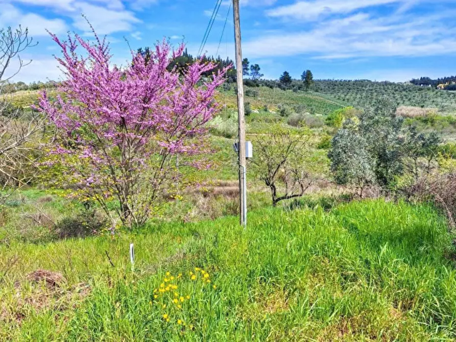 Immagine 8 di Agriturismo in vendita  in Via Chiantigiana, N. Snc a Greve In Chianti