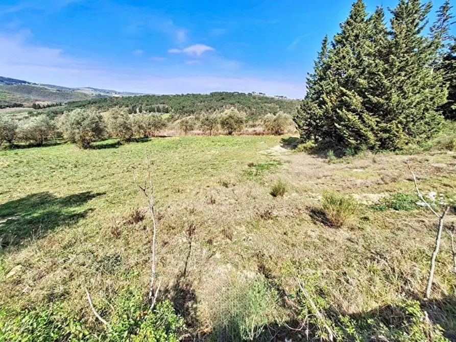 Immagine 16 di Agriturismo in vendita  in Via Chiantigiana, N. Snc a Greve In Chianti