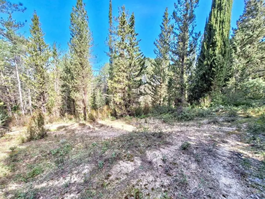 Immagine 21 di Agriturismo in vendita  in Via Chiantigiana, N. Snc a Greve In Chianti