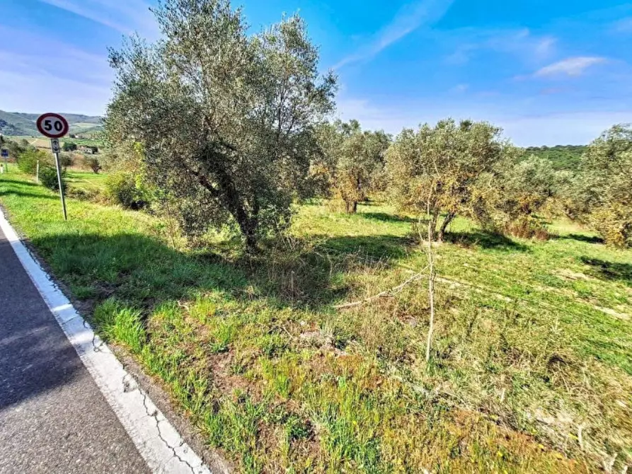 Immagine 26 di Agriturismo in vendita  in Via Chiantigiana, N. Snc a Greve In Chianti