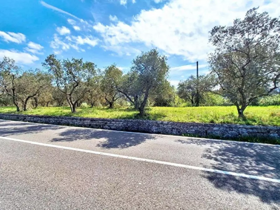 Immagine 30 di Agriturismo in vendita  in Via Chiantigiana, N. Snc a Greve In Chianti